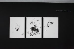 Expantion/ Encre sur papier/ 76x 188 cm/ 2019